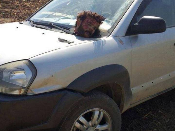 10245556_1490015924572465_9169861395054780655_n