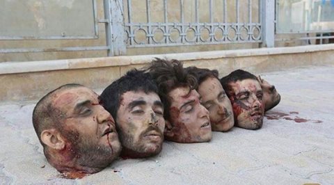 10256290_523528784414142_7635448264429331248_n