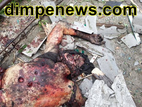 10428491_476916995744842_5815058542443005188_n