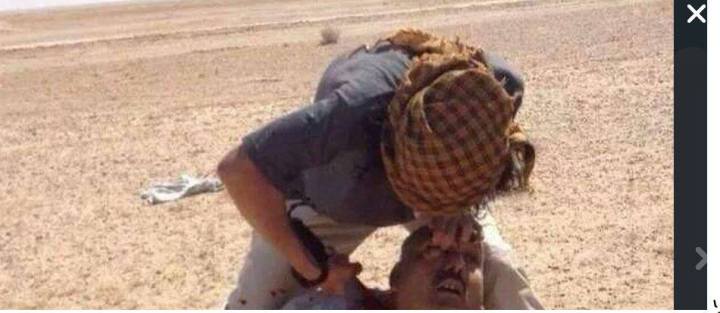 10518961_1490016307905760_9187866285254392311_n