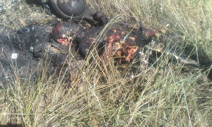 10534631481421018627