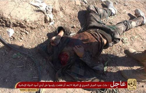 10553500_654073998004399_3389365135728526696_n