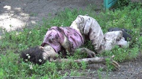 5315_621135614661295_4713731881375025594_n