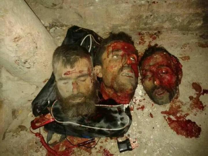 τα τρια κομμενα κεφαλια που απεσταλησαν για αναγνωριση
