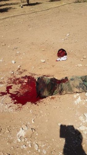 10568820_830918880265877_7117803957722635288_n