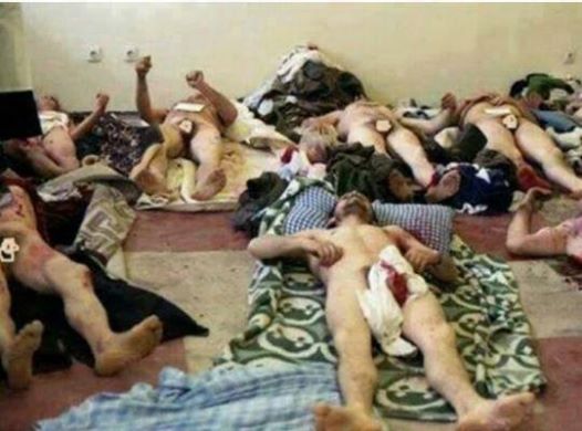 10584102_684870068265663_4377551674909005374_n