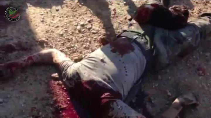 11294_294725077374605_4085886411871431032_n