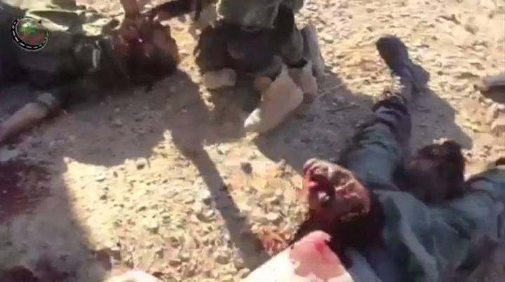 1459674_294725087374604_568611297440918153_n