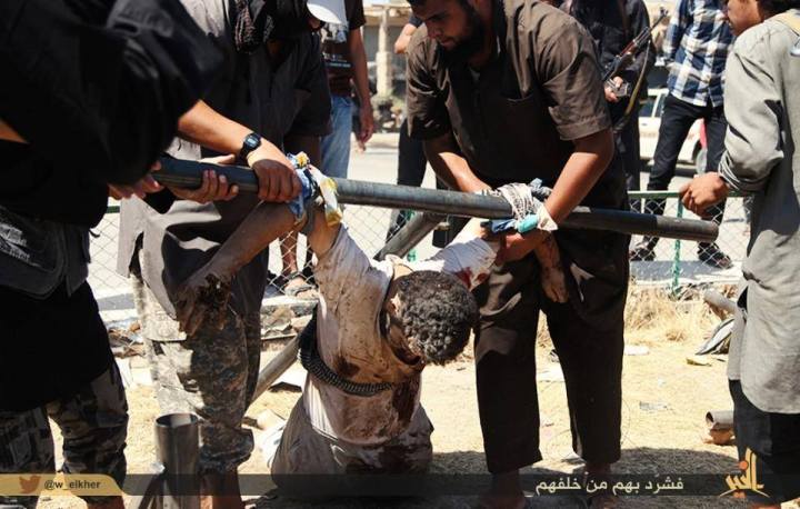 1910260_294809204032859_4252119730474283242_n