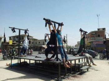 10421376_523035094464347_6051033782807739423_n