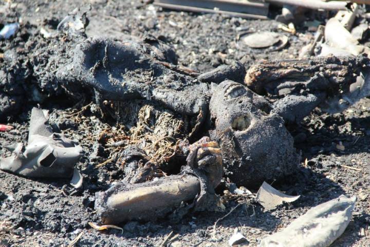 64967323_6691723450720741181_n