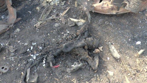 10616701_702689096453539_6687199609096661013_n