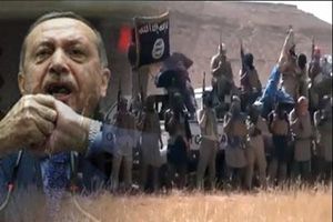 523ef1090f23d705a01ef25b3090b138_XL