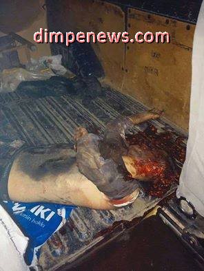 10473615_1483412321940288_5066304083716472911_n