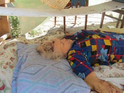 10478027_384185018403340_8378856234118927232_n