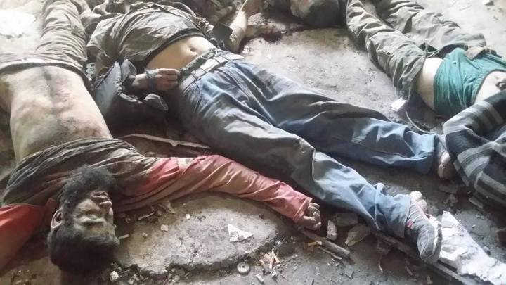 1521210_768898253177283_7159411703718274512_n