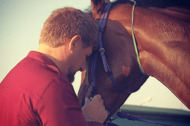 Το αγαπημένο άλογο του Καντύροβ που κέρδισε σε διαγωνισμό το 1ο βραβείο αλλά δεν το παρέλαβε λόγω των κυρώσεων κατά της Ρωσίας