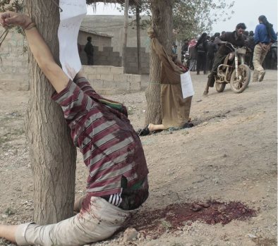 10376299_835665279829563_804763132875566113_n