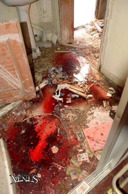 934870_854814744549517_107604781333906234_n