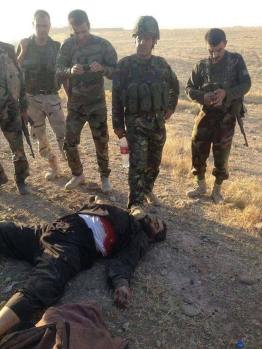 10380314_541048619365203_134709668315579739_n