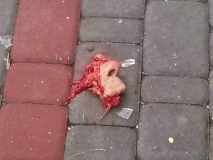 10576921_438530366295990_7759015253437882297_n