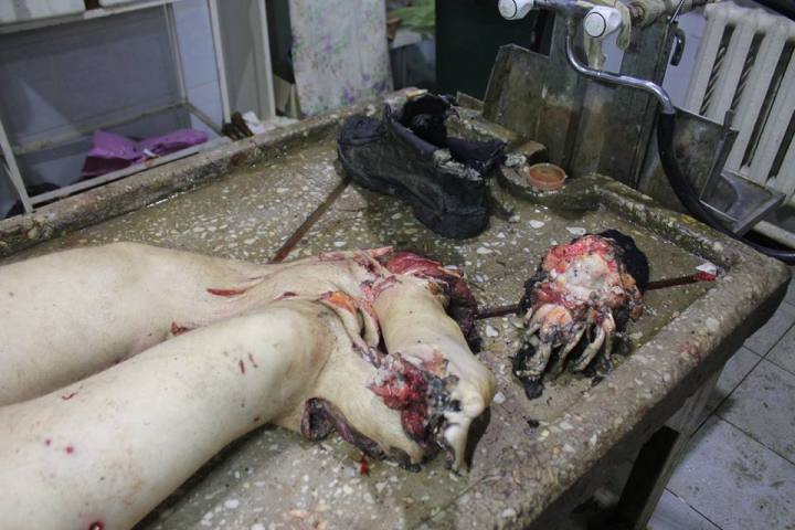 10868029_1541672886083747_1661427929755833871_n