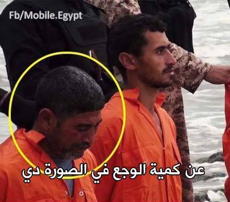 10917366_634017653368965_7180731333022777938_n