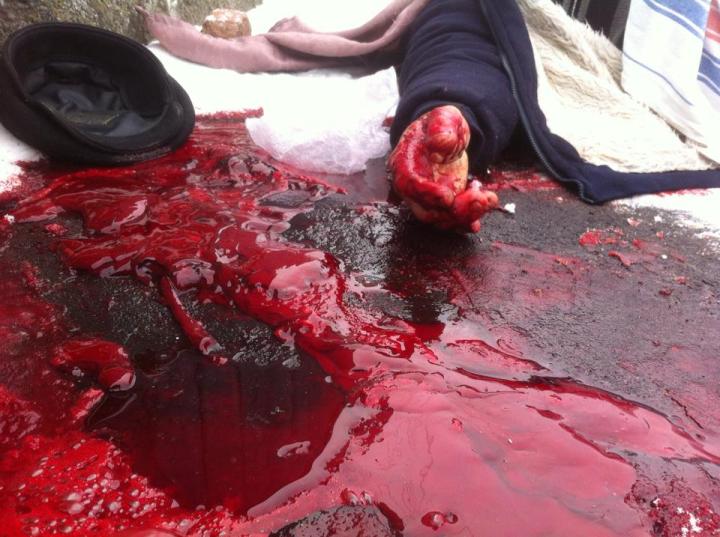 10959561_1585284788383752_4966542419865710385_n