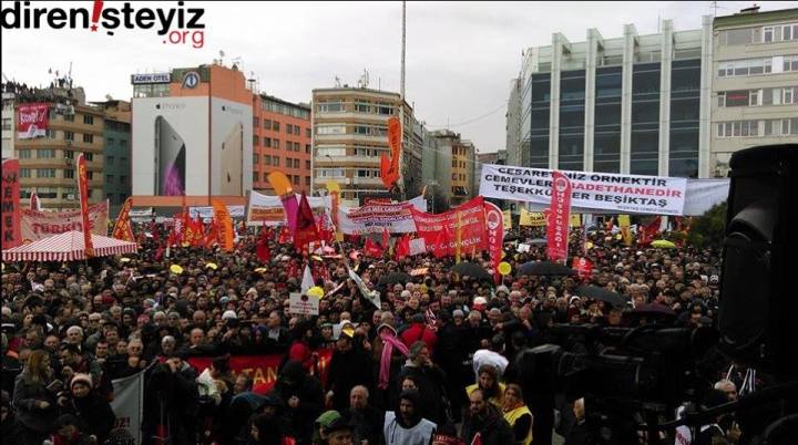 14075_379538562234480_4879832715427430340_n