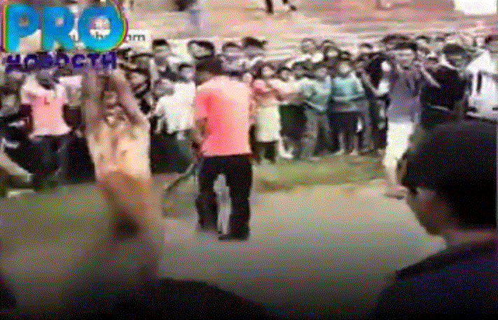 CapturΙΞΣΑΙΞΙΞΙ