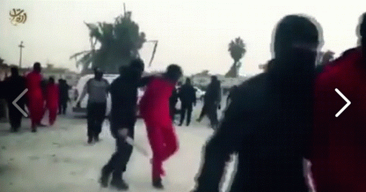 Capygigiiguohuohhooh