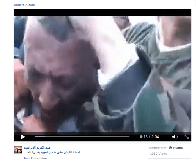 umgebracht-von-avaaz