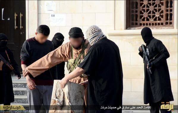 11066515_851131584960682_5854376426189131505_n