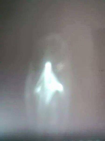 18627_348644051994401_1411591599009072004_n