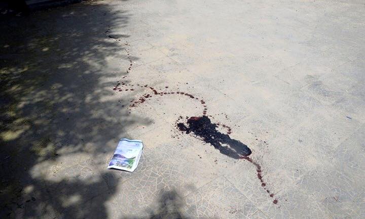 472731494675_7491553391176282181_n