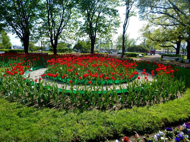 66715325060_675167987274790952_o