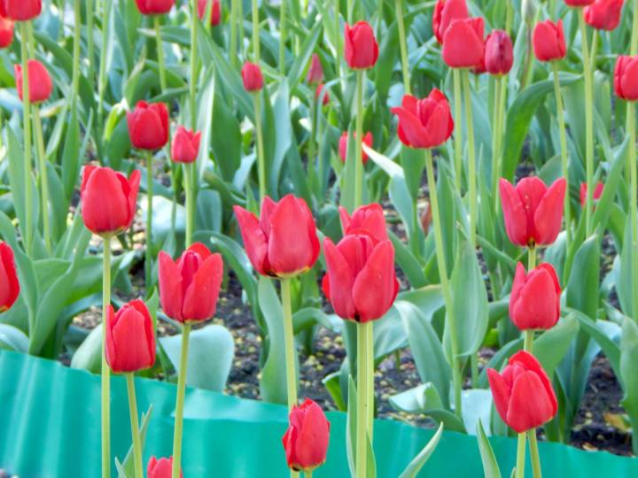 4267211991677_1825084213259044135_o