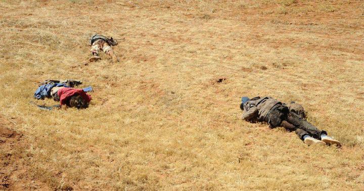 11193265_1565368833730513_1884915934389159002_n