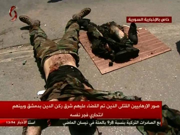 11203081_831301170292629_2937342957686111826_n