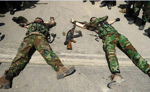 11207317_827444403970693_1239434764228505259_n