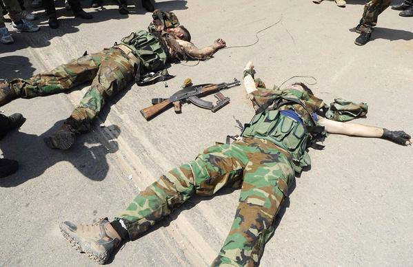 11209651_879055148828259_3490373653254606646_n (1)