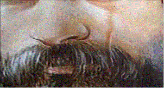 Caσυγιθσγθ΄σγ΄θ