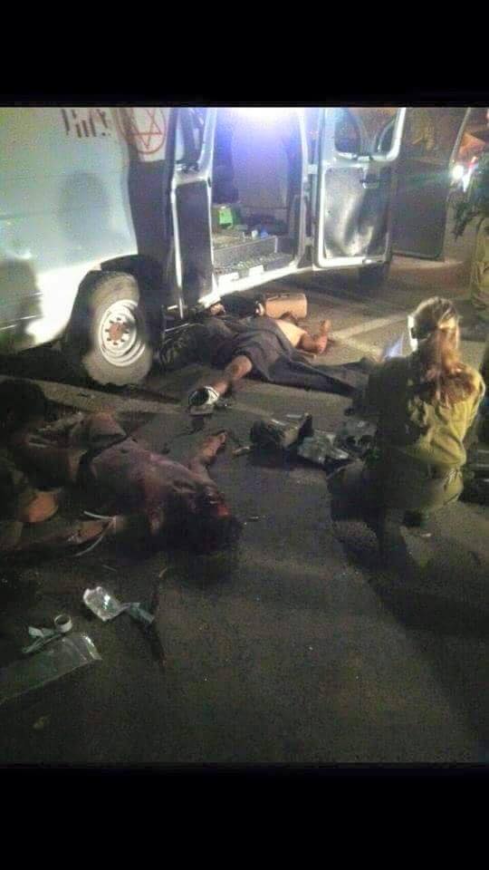 10178007_1585305348403528_8362980186753593374_n (1)