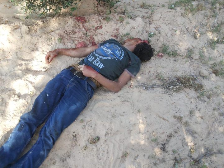 10397982_666861486778170_1809947432873578727_n