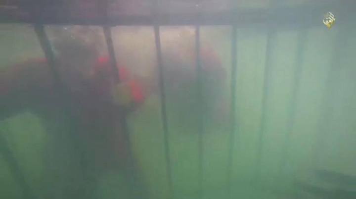 10641283_822850547822945_4664535195412319403_n