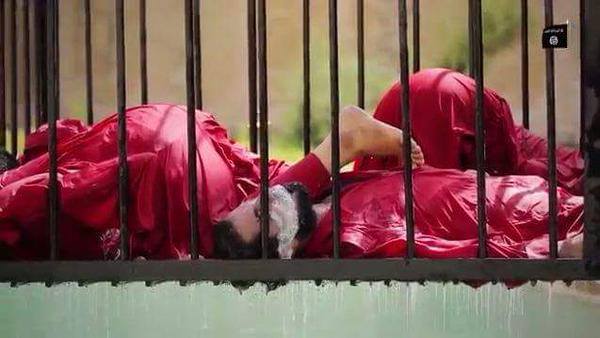 11209515_983810738317930_9115252754236416916_n