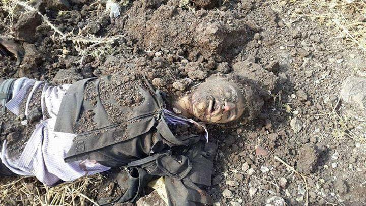 11350473_1585115448422518_5123122211907267748_n