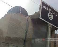 11354818_881869585194352_1786180131_n