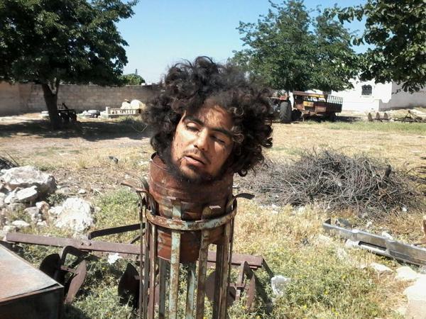 11391627_814077348700265_1139681912427585145_n