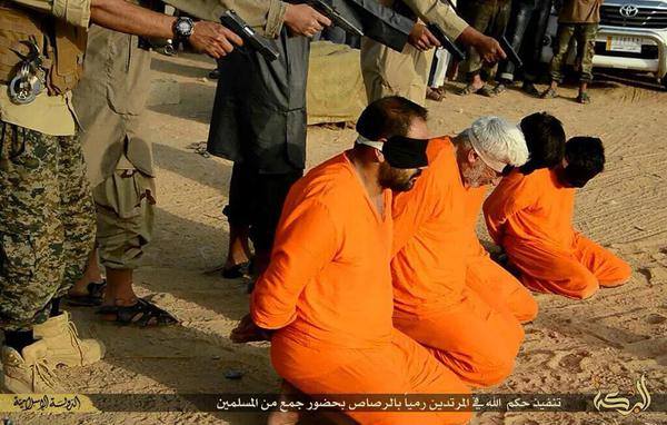 11401188_846811138700686_5866538943529014169_n